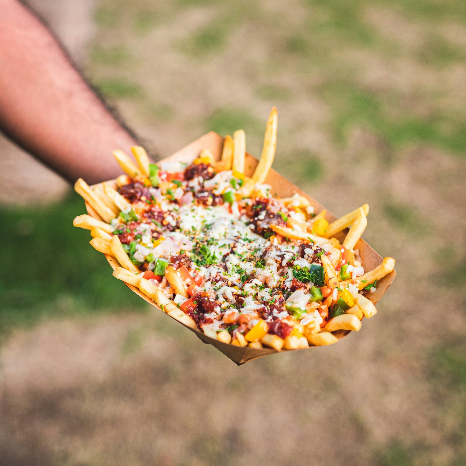 Loaded fries